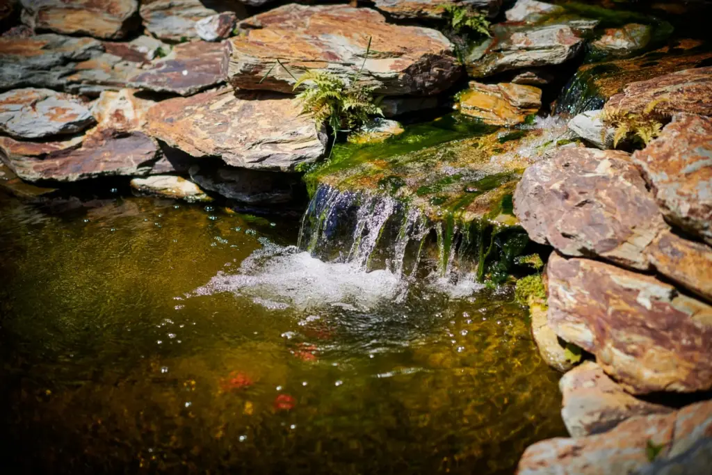 The Bridged Waters — 2