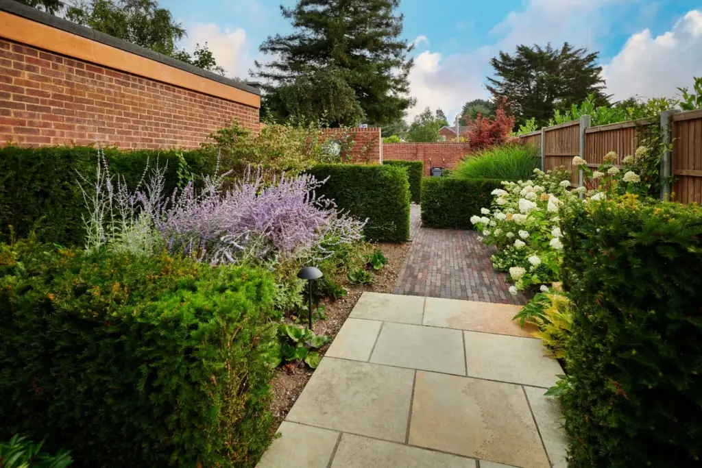 The Staccato Pathway — hedging lavender