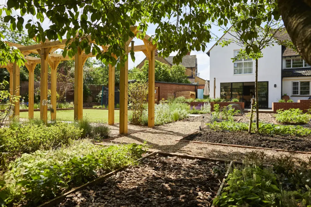 Oak pergola walk and layered planting looking back to the house