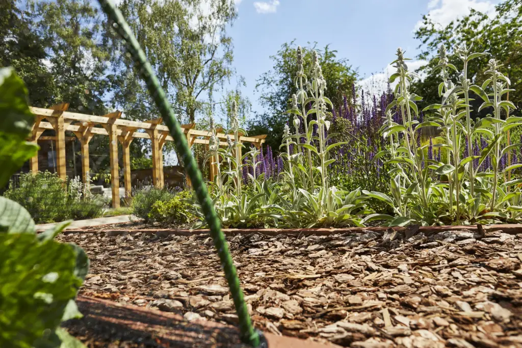 Naturalistic planting garden with generous borders and refined structure