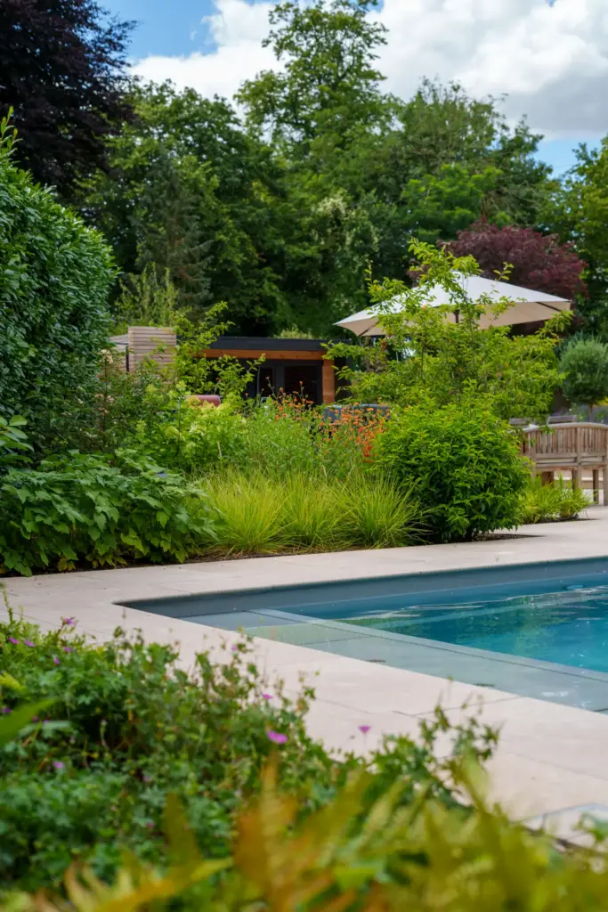A pool garden framed by deep planting, with parasols and seating beyond