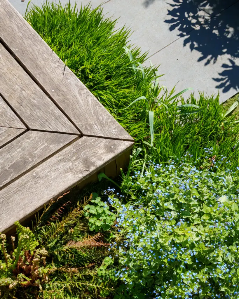 The junction where a timber sleeper edge meets ornamental grass and stone paving